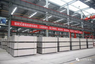 大工程丨云陽這個企業(yè)讓 綠色工藝 引領現(xiàn)代住宅發(fā)展新方向